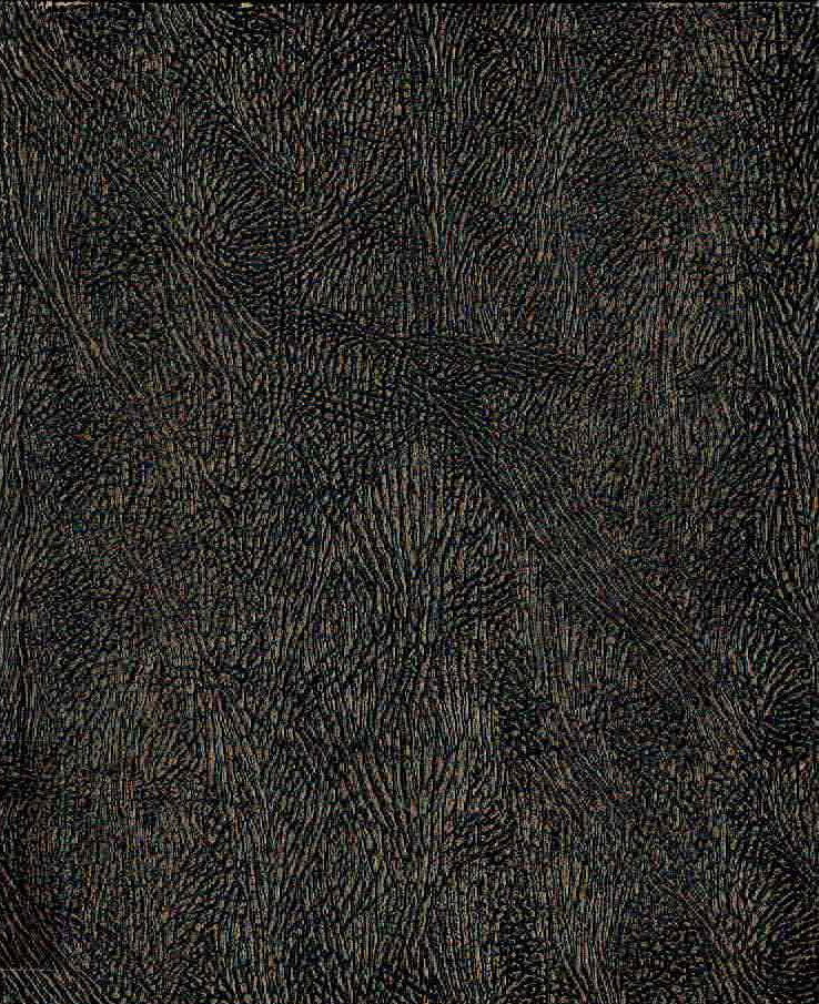 Echnaton, Nofretete, Tutanchamun, Romer-Pelizaeus-Museum Hildesheim 15. Juli- 26. September 1976, Verlag Philipp von Zabern, Mainz 1976