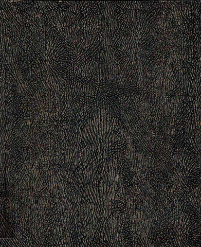 Echnaton, Nofretete, Tutanchamun, Romer-Pelizaeus-Museum Hildesheim 15. Juli- 26. September 1976, Verlag Philipp von Zabern, Mainz 1976