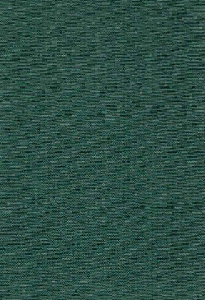 M. Chantry (ed.), Scholia in Aristophanem, ScholiaThesmophoriazuasas; Ranas; ecclesiazusas et plutum, Pars III, fasc. 1a, continens Scholia vetera in aristophanis Ranas