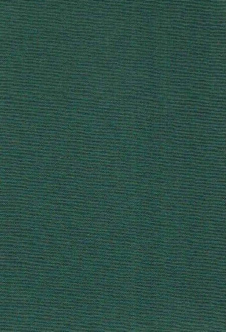 M. Chantry (ed.), Scholia in Aristophanem, ScholiaThesmophoriazuasas; Ranas; ecclesiazusas et plutum, Pars III, fasc. 1a, continens Scholia vetera in aristophanis Ranas
